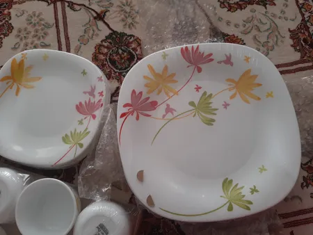 بشقاب غذاخوری پارس اپال مدل Bird کد 440 بسته 6 عددی