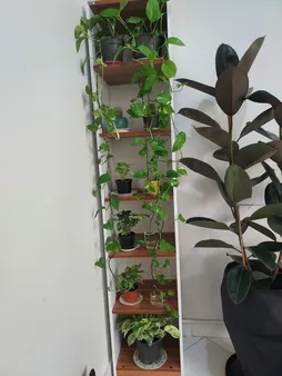 کتابخانه اعیان مدل FH105