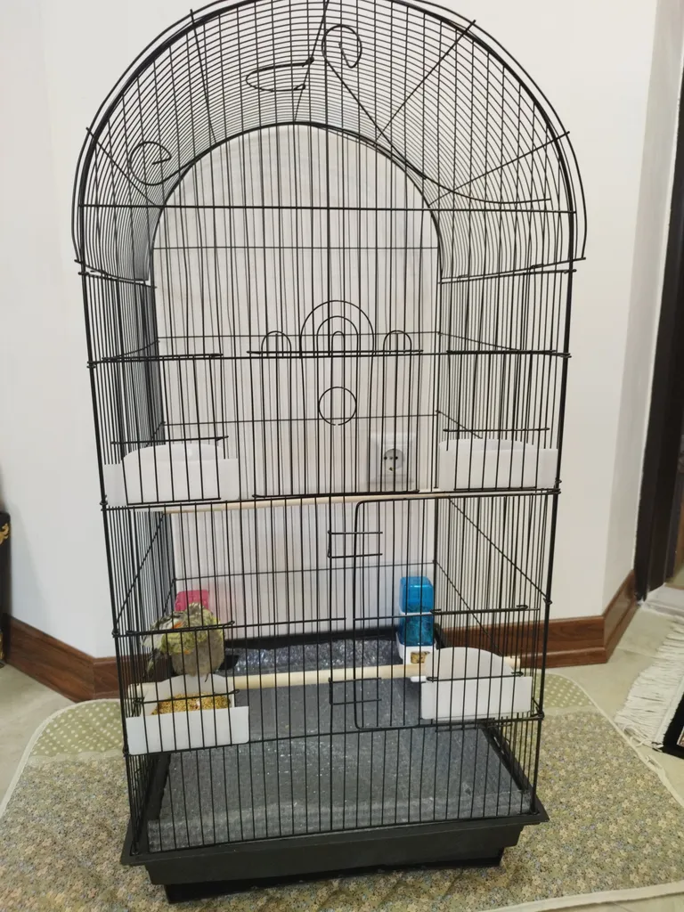 قفس عروس هلندی مدل 1034