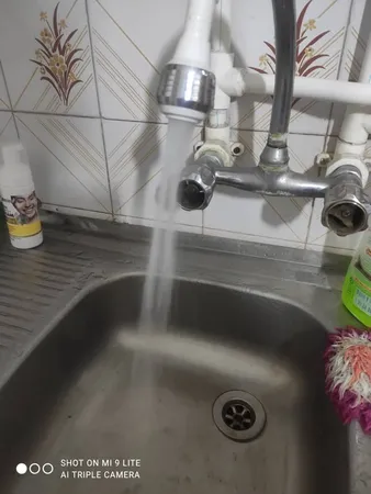 سرشیر پاندا کد 313