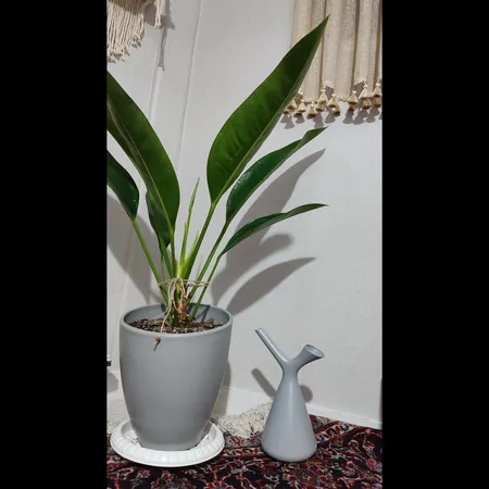 آبپاش الهوم مدل PWC1.7