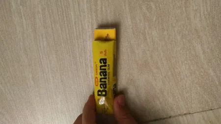 ابزار شوخی مدل آدامس سوسکی بسته 2 عددی