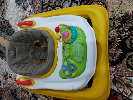 روروک دلیجان مدل مکس