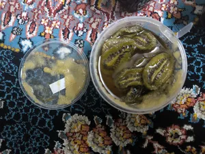 تجریه خرید ترشک کیوی بازار دهکده - 300 گرم