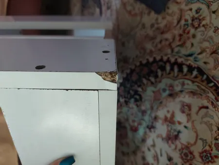 کتابخانه رومیزی مدل کاکتوس