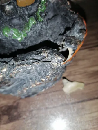 عود و جاعودی مدل آبشاری کد 5