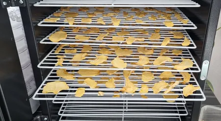 میوه و سبزی خشک کن نانوالکتریک مدل F700A