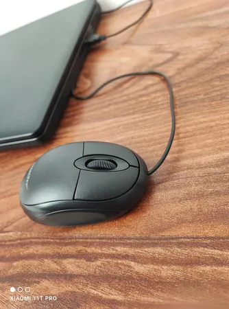 ماوس مدل B100