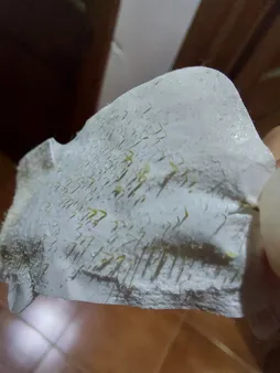 چسب‌ پاک کننده بینی ویت مدل Charcoal بسته 6 عددی