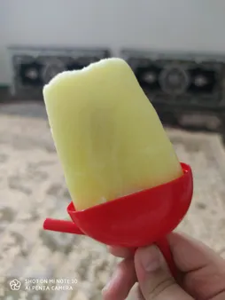 قالب بستنی مدل jhd