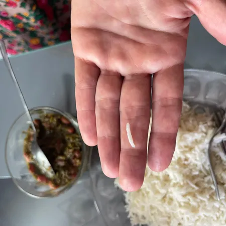 برنج ایرانی دم سیاه سنتی  فاخر ایرانی - 4.5 کیلوگرم