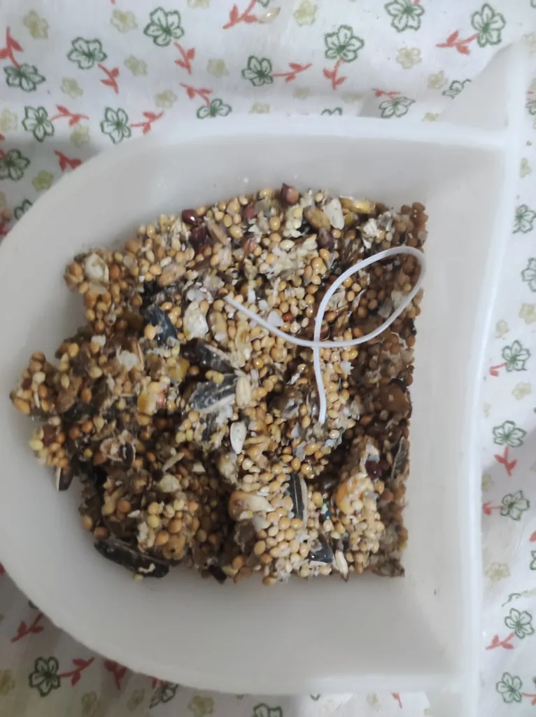 تشویقی پرنده هپی برد مدل استیک عسلی وزن 70 گرم