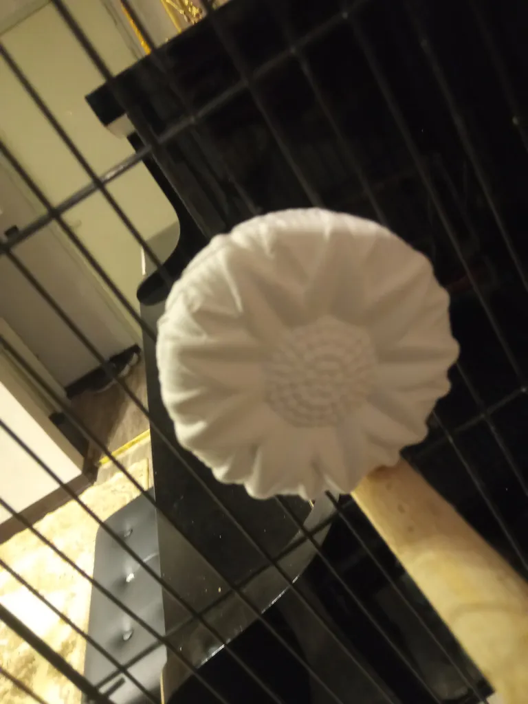 سنگ کلسیم کد C2005 بسته ۲ عددی