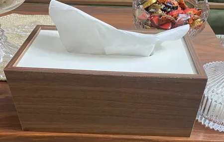 جعبه دستمال کاغذی رایکا مدل HA257