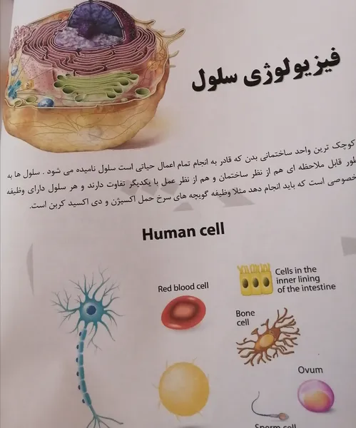 عکس ارسالی خریدار