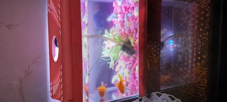 لامپ ال ای دی آکواریوم مدل B-10c