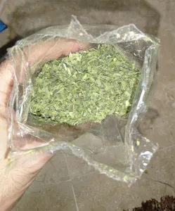 تجریه خرید سبزی خشک نعناع ضامن - 60 گرم