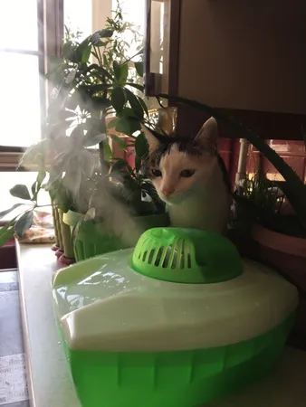 دستگاه بخور گرم ویکس مدل ونوس کد 01