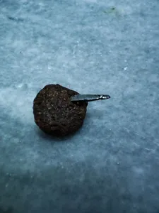 تجریه خرید غذای خشک پروبیوتیک سگ نوتری پت مدل Adult 21Percent وزن 15 کیلوگرم