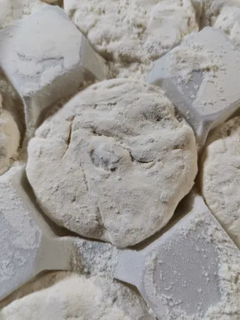 گز آردی 42 درصد پسته ویژه گز کرمانی - 450 گرم