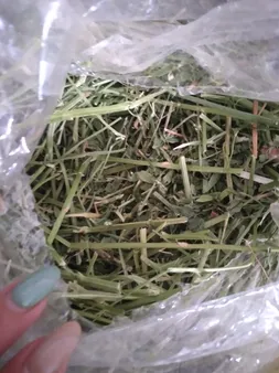 یونجه جوندگان مدل نوین وزن 1000 گرم