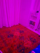 تجریه خرید فرش ماشینی دنیای فرش مدل رزیتا سنتی کد 1508