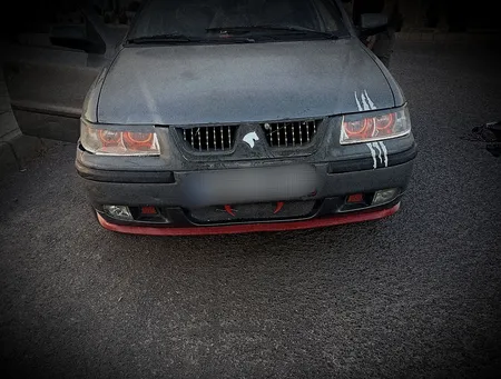 شاخ تزئینی مدل 01 مجموعه 2 عددی