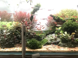 تجریه خرید گجت تست سلامت آب سفری شیاومی مدل Mi TDS