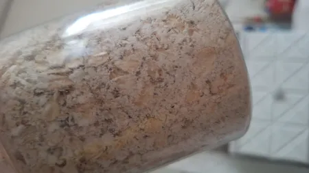 جو دوسر پرک صبحانه صادراتی آنید - 600 گرم