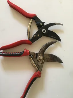 قیچی باغبانی لایت مدل JH-615