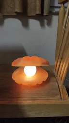 آباژور سنگ نمک مدل صدف sadaf01