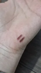 مداد لب استودیو میکاپ مدل SLL شماره 06