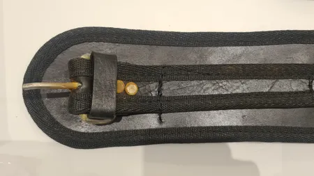 پابند مدل Dmoose