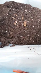 خاک پیت ماس آنتیک خاک مدل 20Ltr وزن 10 کیلوگرم