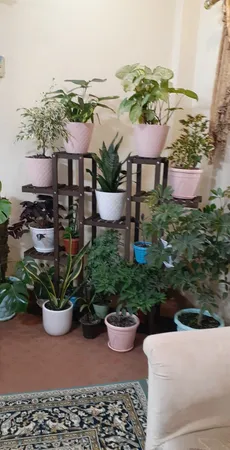 استند گلدان مدل Mtf5