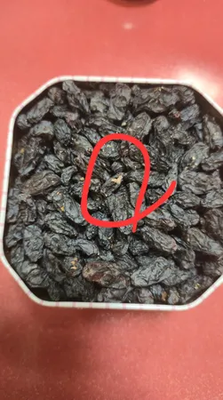 مغز گردو و مویز شاهانی ممتاز مزرعه  هامون - 330 گرم