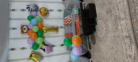 مجموعه 74 عددی تم تولد مستر تم طرح حیوانات جنگل کد 1