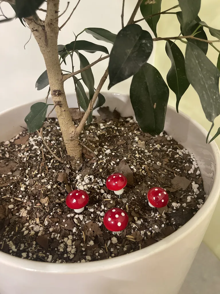 ماکت قارچ مدل Q1 بسته 10 عددی