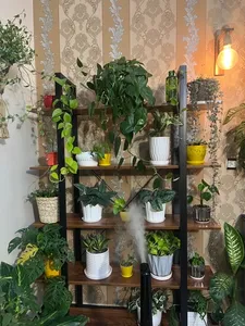 تجریه خرید کتابخانه دیزم مدل LIB-00A58-120BRN