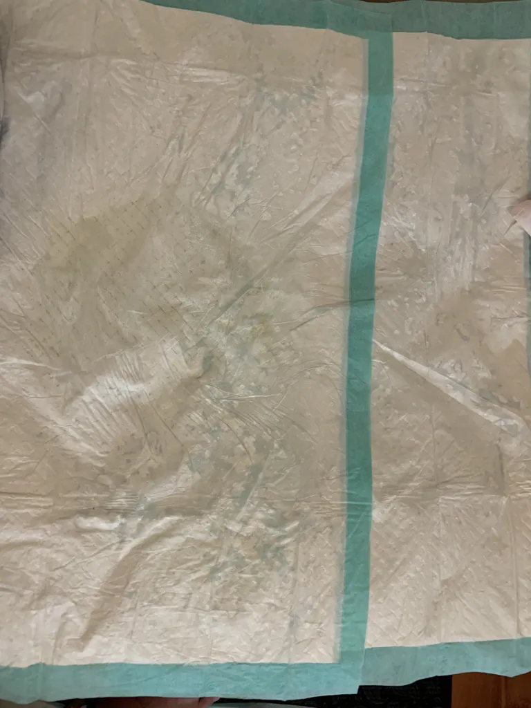 زیرانداز بهداشتی بیمار گلدپد آناپلاس مدل E04 بسته 10 عددی