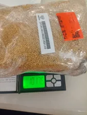 تجریه خرید غذای پرندگان مدل ارزن وزن 1 کیلوگرم