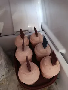 تجریه خرید قالب بستنی مدل گربه ای مجموعه 6 عددی