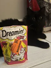 تجریه خرید غذای تشویقی گربه دریمز مدل Snack With Beef and Chese وزن 60 گرم