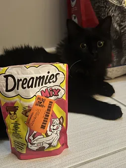 غذای تشویقی گربه دریمز مدل Snack With Beef and Chese وزن 60 گرم