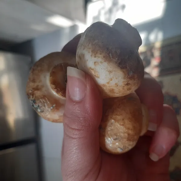 عکس ارسالی خریدار
