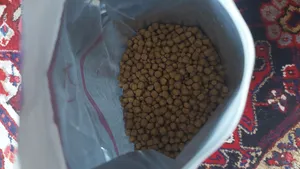 تجریه خرید غذای خشک گربه سلبن مدل Indoor Cat وزن 2.5 کیلوگرم