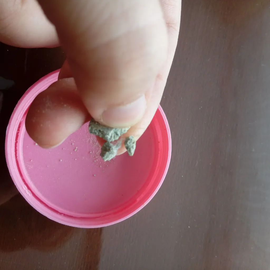 غذای ماهی امروز کد T103 بسته 120 عددی