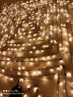 ریسه ال ای دی روژ کد  به طول 25 متر