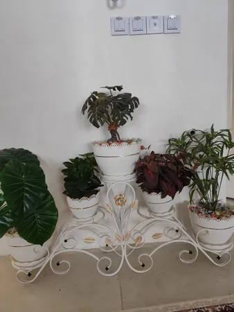 استند گلدان مدل فلوریا