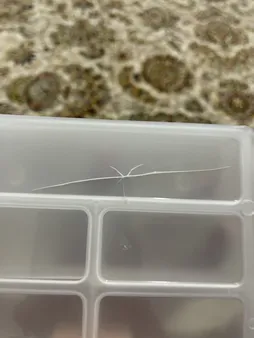 جعبه ابزار مهر مدل TT